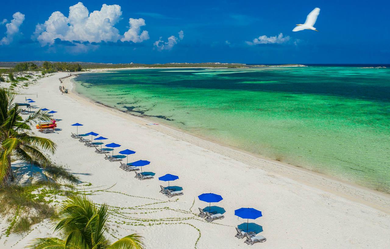 Salterra, A Luxury Collection Resort & Spa, Turks & Caicos  South Caicos Luaran gambar